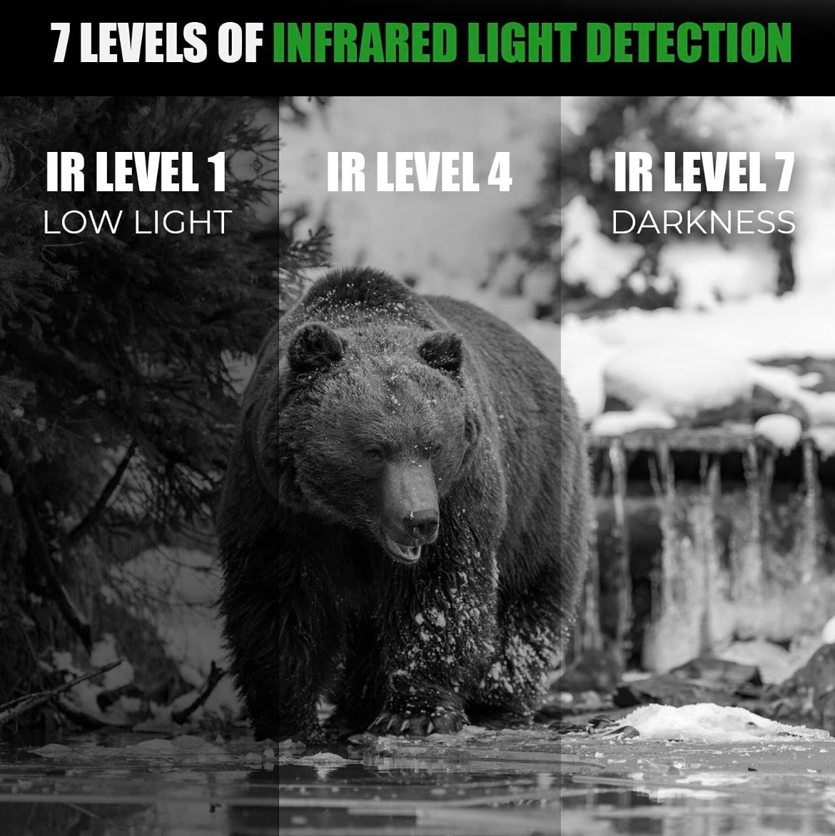 SIGWEIS Digital Infrared Night Vision Binoculars